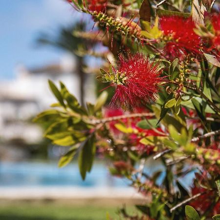 Avalon Apartment Jávea Екстериор снимка