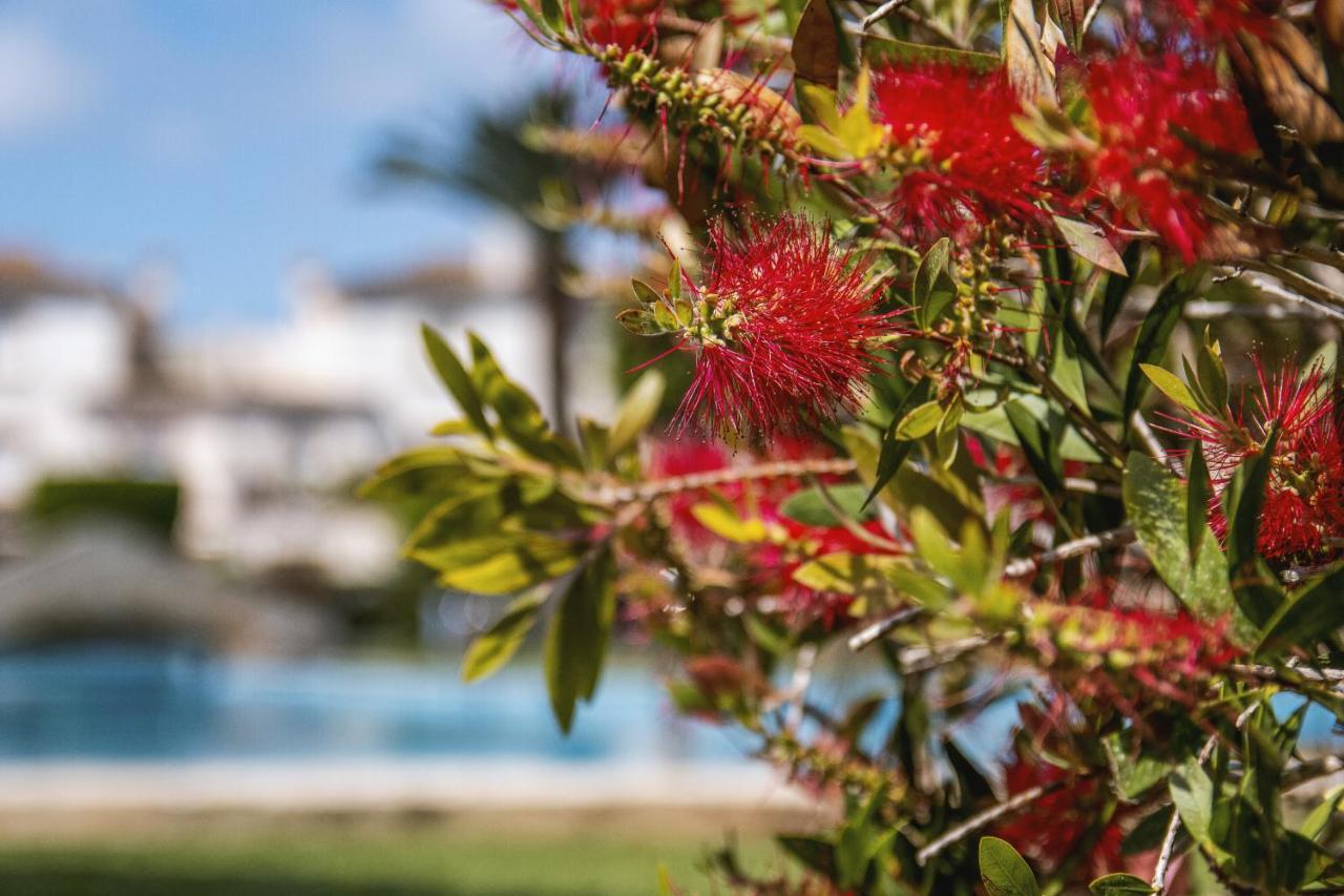 Avalon Apartment Jávea Екстериор снимка